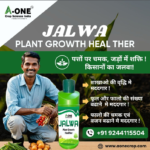 Jalwa