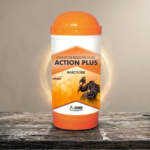 Action Plus