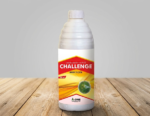 Challenge