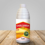 Challenge