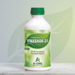 Vinashak-24