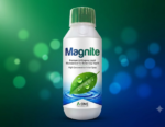 Magnite