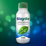Magnite