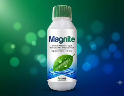 Magnite