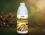 Root Power