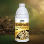 Root Power