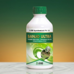 Banjo Ultra