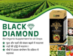 Black Diamond