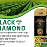 Black Diamond