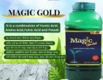 Magic Gold