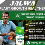 Jalwa