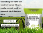 A-One Spray 12:61:00