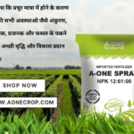 A-One Spray 12:61:00
