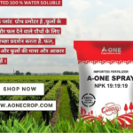 A-ONE SPRAY 19:19:19