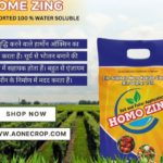 Homo Zinc